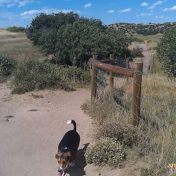 Glendale Farm Open Space Dog Park photo 1